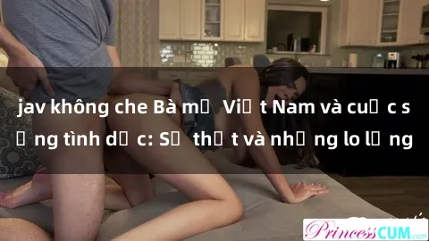 jav không che Bà mẹ Việt Nam và cuộc sống tình dục: Sự thật và những lo lắng
